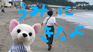 こんねきがバイトしてる間に、友達と海に行ってきたよ！