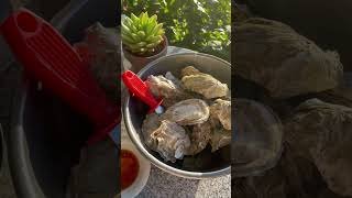 How to prepare oyster in shell #oysters #shorts