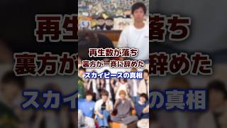 再生数がガタ落ちで裏方が一斉に辞めたスカイピースの真相 #スカイピース #退職 #真相