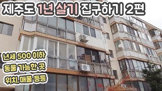 제주도 1년살기 집구하기 실전편 2탄-제주살이 년세 매물