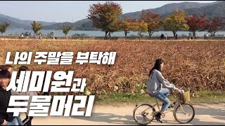 [서울근교] 양수리 여행, 나의 주말을 책임질 두물머리와 세미원에 다녀오다