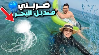 ما كنتش كنتوقع هادشي.. خرج ليا قنديل🪼 وسط البحر😭😱 حسّيت بالحريق.. قنديل بحر هاجمني🥺