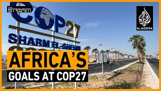Will COP27 address Africa's climate challenges? | The Stream