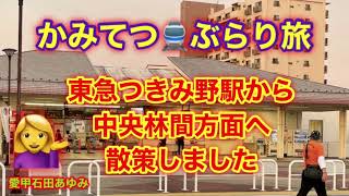 東急田園都市線・つきみ野駅から中央林間方面へ散策した、かみてつ🚆ぶらり旅