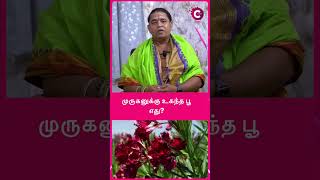 முருகனுக்கு உகந்த பூ எது? #devotionalchannel #astrology #murugan #shortsvideo #shorts