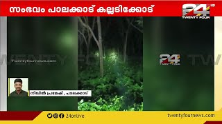 പാലക്കാട് കല്ലടിക്കോട് കാട്ടാനക്കൂട്ടം നാട്ടാനയെ ആക്രമിച്ചു