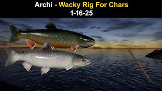 Russian Fishing 4, Archipelago - Wacky Rig For Chars 1-16-25