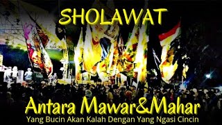 Sholawat Antara Mawar 🌹 \u0026 Mahar ⚖️ [Yang Ngasi Mawar Akan Kalah Dengan Yang Ngasi Mahar]