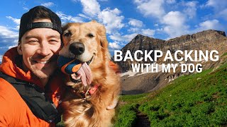 My FIRST solo backpacking trip with my dog
