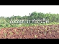 khmer agriculture