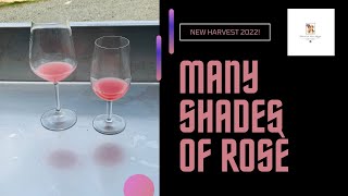 Many shade of Rosè Wine (New Harvest 2022!)