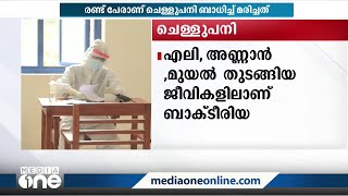 ആശങ്കയായി ചെള്ളുപനി, ഒരാഴ്ചക്കിടെ സംസ്ഥാനത്ത് രണ്ട് മരണം | Scrub Typhus |