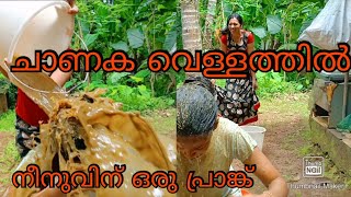 ചാണക വെള്ളം കലക്കി ഒഴിച്ച് നീനുവിന് ഒരു പ്രാങ്ക് #prank #malayalamvloger #chicasworldbynaadha