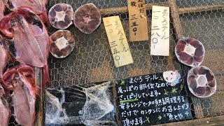 熱海駅前商店街『魚とや』静岡おでん まぐろテール ハラモ を食べてきた！