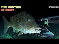 NIGHT SPEARFISHING EPISODE 105 | FISH HUNTING AT NIGHT