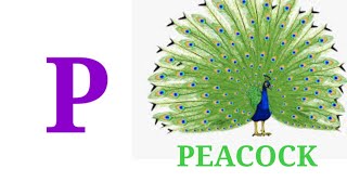 P for peacock। P Alphabet। Alphabet for kids @PrimarykiPathshala