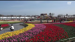 세계 5대 튤립축제…150만 송이 '물결' -국민리포트-