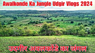 उदगीर अवलकोंडे का जंगल | Awalkonda Ka Jungle Udgir Vlogs | Sultani Sarfaraz Vlogs