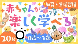 【赤ちゃんが喜ぶ】赤ちゃんが楽しく学べる🌲ö│泣き止む🌈笑う☀️喜ぶ♫動画│こどものうた│乳児・幼児向け知育番組│0歳/1歳/2歳/3歳の知育アニメ