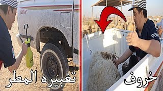 كيف تسوي تغبيره المطر : ابوستل قال قصيده  ( شرينا الخروف انا و ابو ستل ) 🐏💥