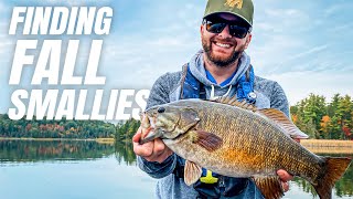 Understanding Fall Smallies and Their Movements