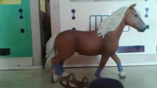 Moje nove schleich !:)