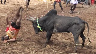 சத்திரப்பட்டி ஜல்லிக்கட்டு 2023 Videos | Chatrapatti Jallikattu 2023 Videos