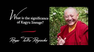 39. What is Kagyu lineage? | Answers for Beginners | Ringu Tulku Rinpoche