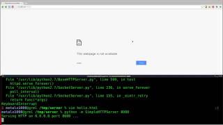 Setup a Webserver with Python Linux Tutorials clip7