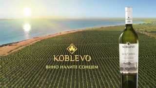 KOBLEVO | Вино налите сонцем 2014