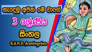 හැදෙමු අපිත් මේ වාගේ grade 03 test book සිංහල කිියවීම් පොත Top for Learn