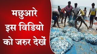 मछुआरे (Fisherman) इस विडियो को जरुर देखें | Sant Rampal Ji Satsang | SATLOK ASHRAM