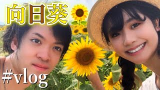 【見頃】大学生カップルがひまわり畑に行ってみたらキレイすぎた🌻