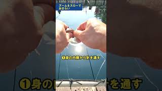 【海上釣堀エサ】ソーダカツオの付け方を解説！ 釣具通販 OZATOYA #Shorts