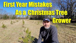 First Year Mistakes Growing Christmas Trees