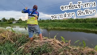 #ปลาซิวยาง ตกปลาช่อนคูน้ำข้างทาง​ หมายสวย หมายใหม่พอได้รอดแห้ว🆗🎣