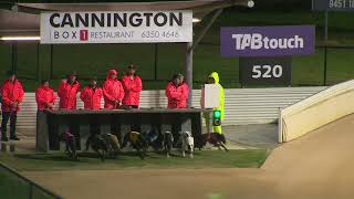 Cannington-07082021-Race-1