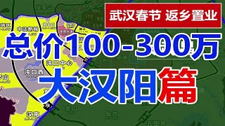 武汉春节买房，大汉阳总价100-300万如何选？