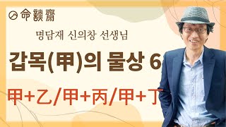 격물론 6강 갑목甲木의 물상 6 甲+乙 / 甲+丙 / 甲+丁(명담재 신의창선생님)