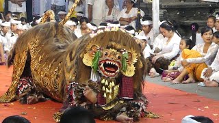 Barong Macan Super Star | Tabuh Barong Macan