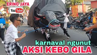 AKSI KERBAU GILA DI KARNAVAL HUT RI KE 78 , NGUNUT