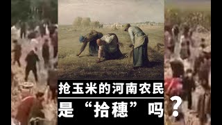 南阳迷笛音乐节后，周口农民的再次出镜，河南农民真的偷抢成性，素质差吗？抢玉米与拾穗