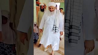 sain mufti Muhammad Tahir halejvi 😍🥰😍🥰