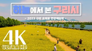 하늘에서 본 구리 유채꽃 한강예술제 - 4K (UHD)