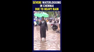 Chennai Rains: Waterlogging in many areas due to heavy rainfall #shorts