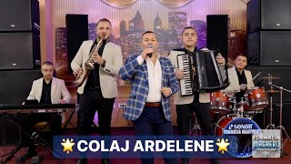 ALBUM 2024❌03❌FORMATIA MAGHERU \u0026 COSTEL CHIRCU❌COLAJ ARDELENE (cover)