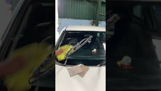 Car windshield glass cleaning