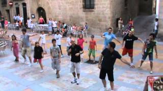 FLASHMOB III / VERANO AFITA 2012