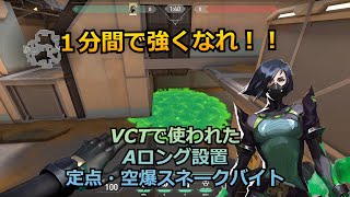 【Valorant】ほぼ1分で手札を増やせ!!VCTで使われたAロング設置定点・空爆スネークバイト２種【ヴァイパー】【フラクチャー】