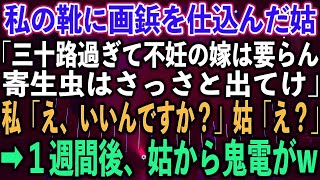 【スカッとする話】私の靴に画鋲を仕込んだ姑「三十路過ぎて不妊の嫁は要らん、寄生虫はさっさと出てけ」私「え、いいんですか？」姑「え？」➡︎１週間後、姑から鬼電がw【修羅場】